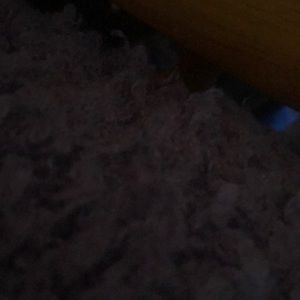 Meet your Posher, Angel